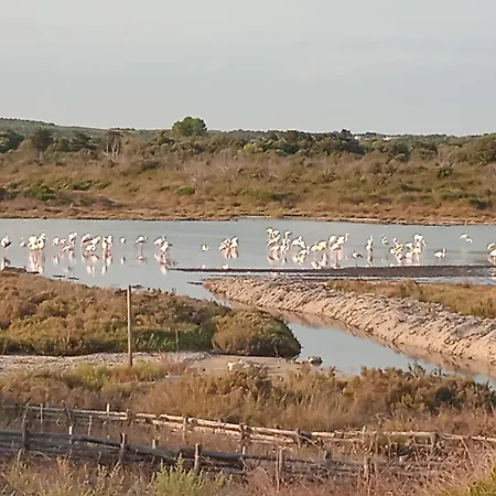 Nocleg ze śniadaniem Lentisco