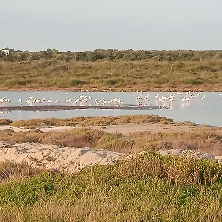 Lentisco Nocleg ze śniadaniem Avetrana